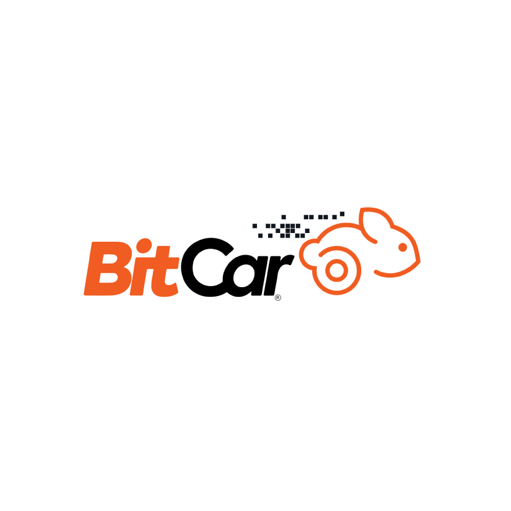 BitCAR